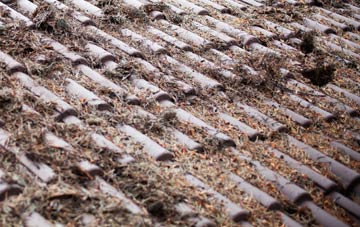 Tarrington roof cleaning companies